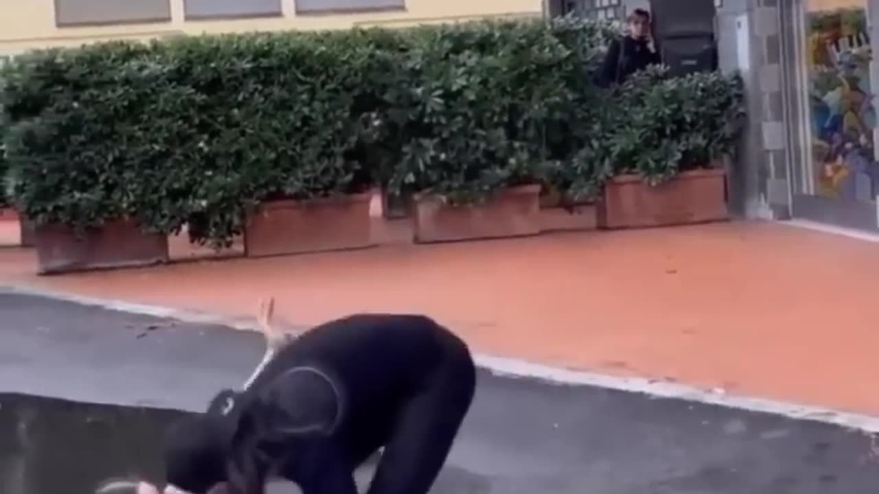 Free funny
