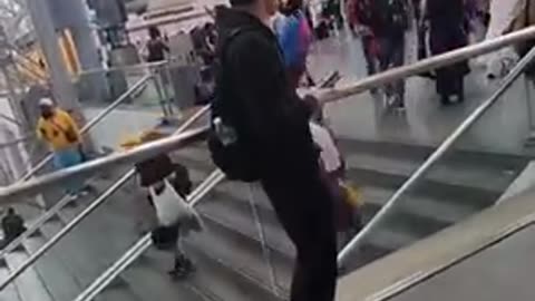 Who is in the WRONG here?