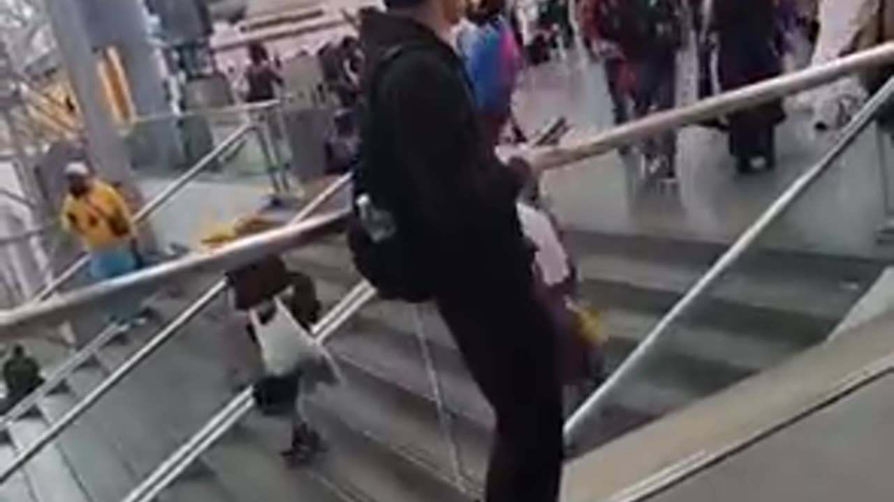 Who is in the WRONG here?