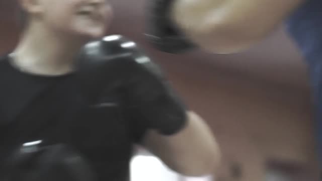 Boxer training