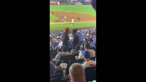 Woman Removed for harassing Trump Supporter at NY Yankees game