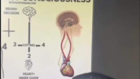 Unlocking the Heart's Wisdom: Your Second Brain