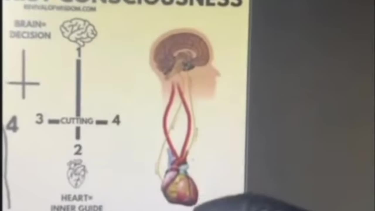 Unlocking the Heart's Wisdom: Your Second Brain
