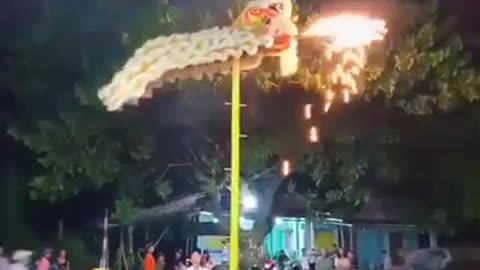 Lion dance in Viet Nam