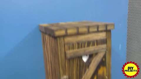 Best DIY Videos!