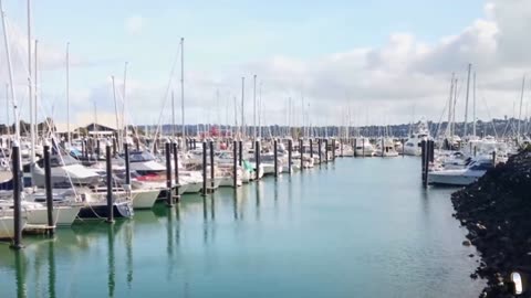 Half Moon Bay Marina Auckland New Zealand Tour