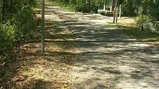 My race location at Hawthorne Trail