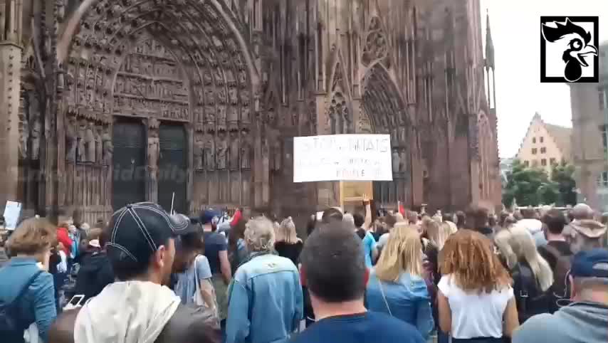 France: Large Protests Against Vaccine Passports