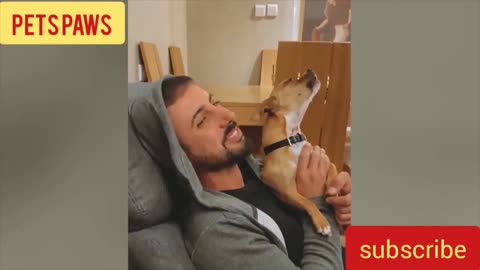 Funny Pet Paws Makes Masters go crazy