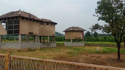 What is the house in the distance for?