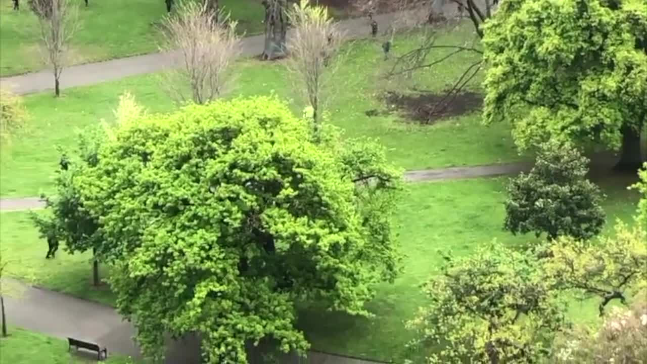 Australia man shot in the back - NEW WORLD ORDER