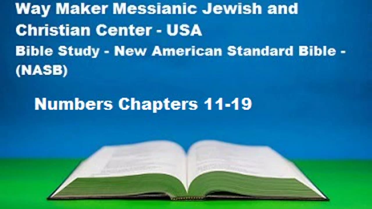 Bible Study - New American Standard Bible - NASB - Numbers 11-19
