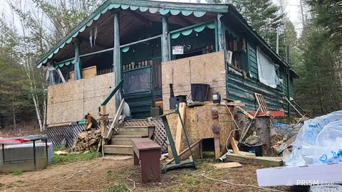 FIRST STREAM, homestead life. BUTCHERING my pigs today