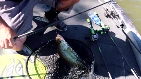 BIG BASS FISHING-Unbelievable