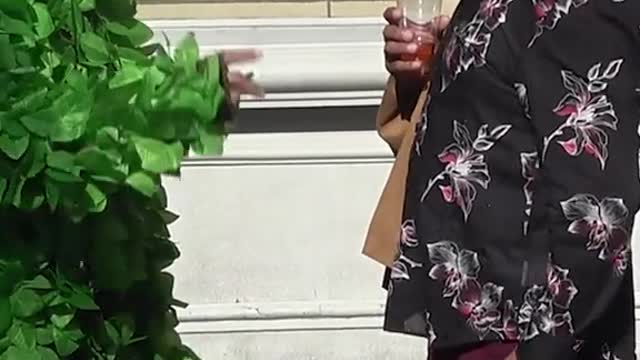 Prank #bushman hahaha