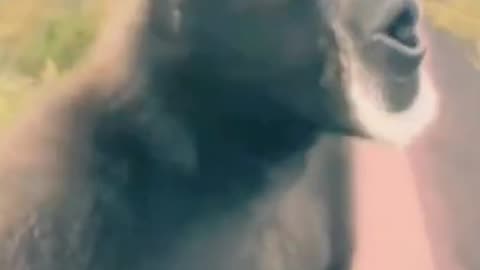 Money funny videos amazing videos 🤪