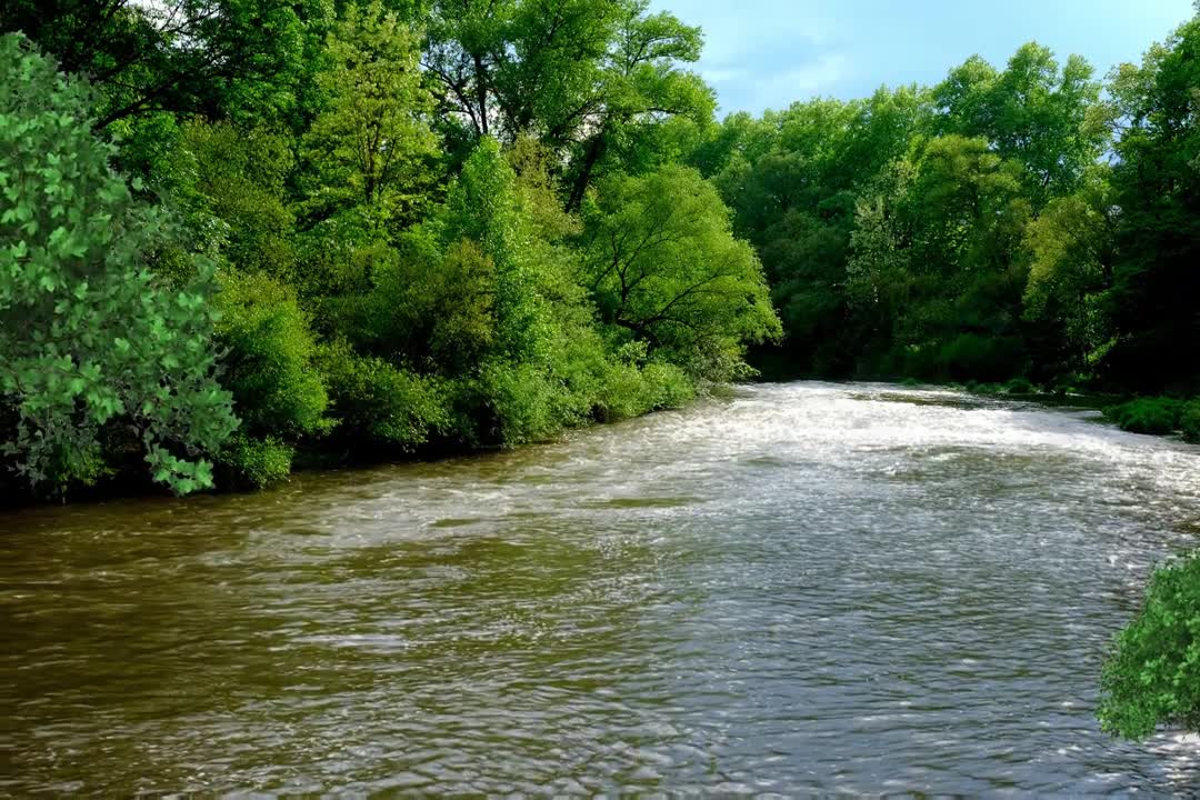 Relax Library: Video 71.River Flowing Downstream