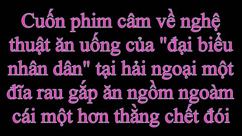 Cộng tác viên báo Nhân Dân đòi về VN làm "Đại biểu nhân dân" ăn tục nói phét