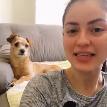 cachorro muito esperto