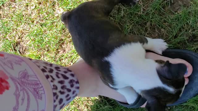 Outside in the sun
