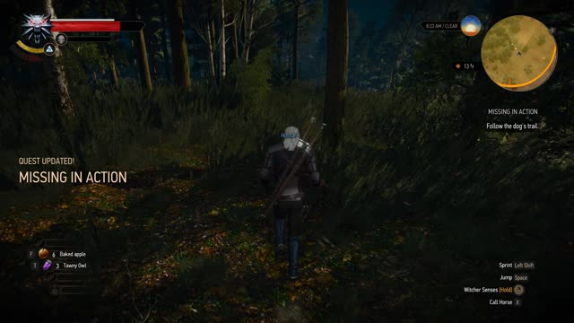 Witcher 3 - Missing In Action Quest Walkthrough