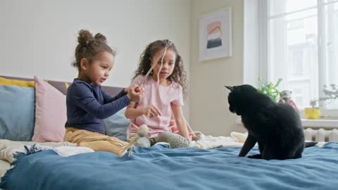 Children playing with cats