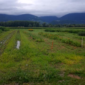 Riding bike in Switzerland