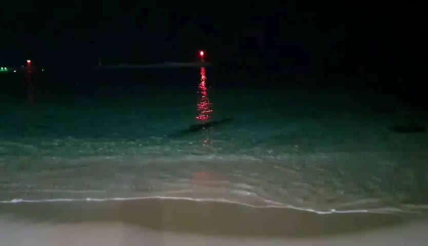 Video of the night sea in Gangwon-do, Korea