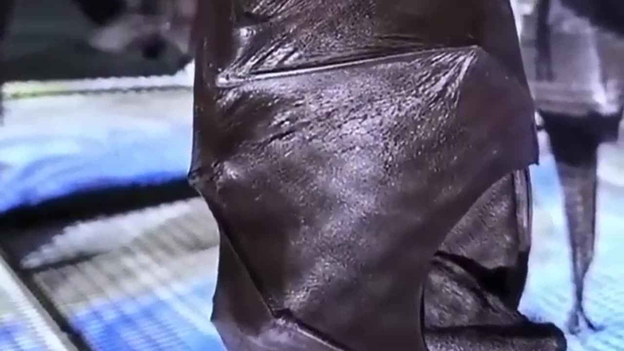 Funny video