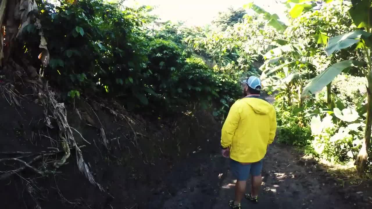 Hacienda Agrícola Don Cleofe - AIR DRONE