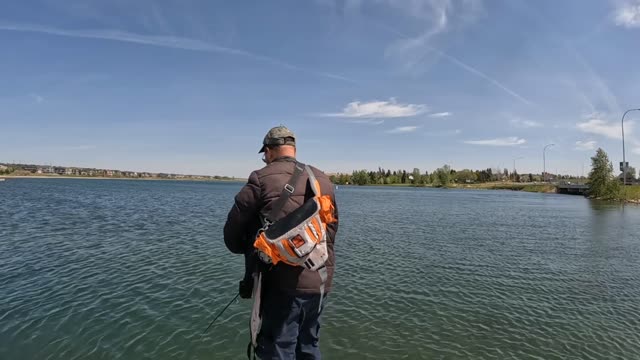 Fishing chestamiere calgary no fish day