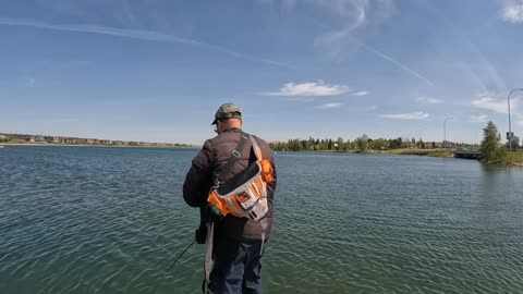 Fishing chestamiere calgary no fish day