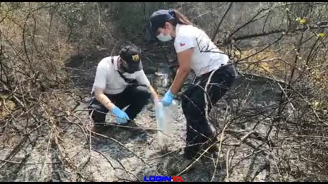 BIDEMA VPO Incendio Quilpue