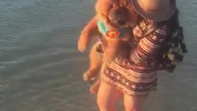 Brown dog getting lifted by girl in water