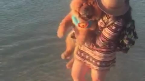 Brown dog getting lifted by girl in water