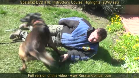 How to defend yourself against a dog attack 100% efficient!