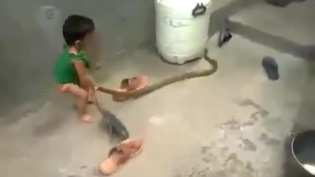 viral videos, viral videos facebook, viral videos hot, viral videos 2017, youtube viral videos