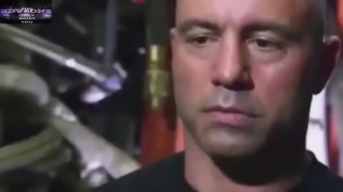 Joe Rogan - I Would Lie To My Own Mother!?