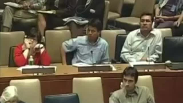 United Nations 2015 chemtrails