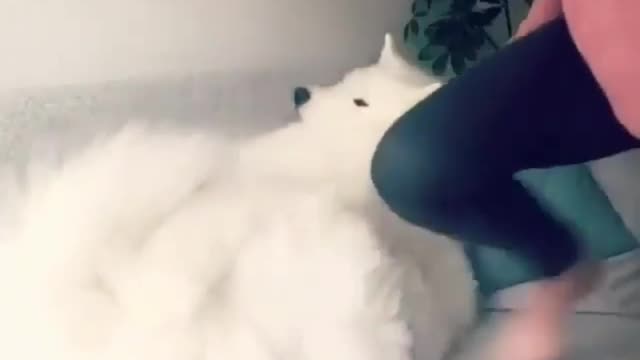 You sleep yourself! I'm going to cook
