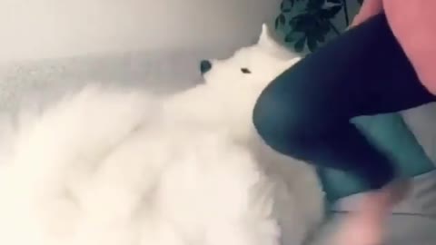 You sleep yourself! I'm going to cook
