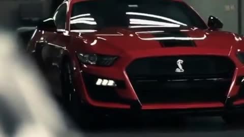 LUXURY CAR