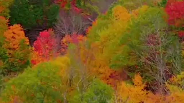 Kaaterskill Falls