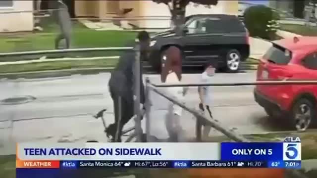 18-year-old, took several punches to the face and head before falling to the ground.