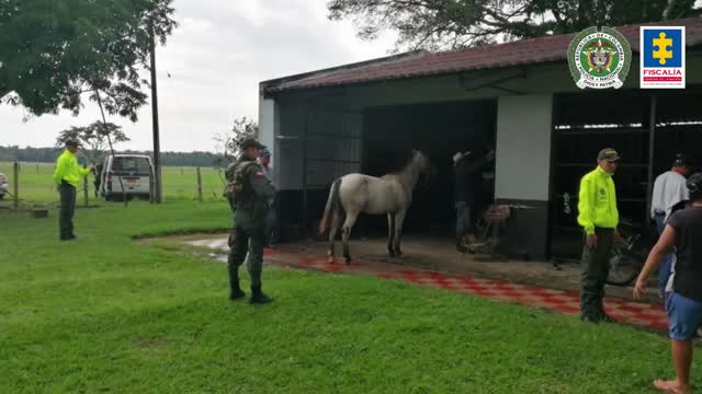 Millonaria extinción de dominio al ‘Piloto de la mafia’ quien tenía cinco tierras en Santander