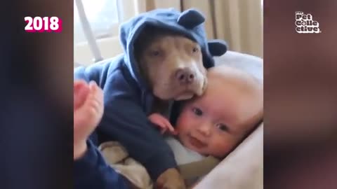 FUNNIEST Pets of the DECADE! 😮 🤣 | 90 Minutes