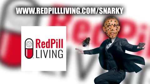 CODE WORD HILLBILLY! WH KIDS VAMPIRE CHILDREN! MAX SPIERS! UNDEAD FRED! (see description)