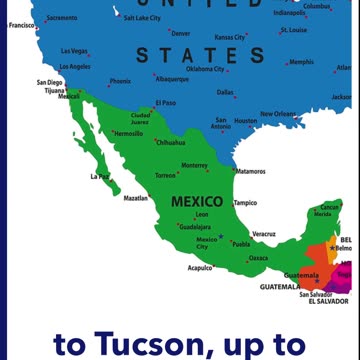 The Cartels own it!!