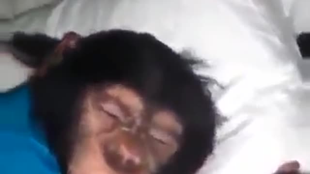 Time to wake up charlie