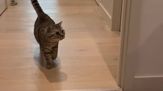 Boss are you a fool?